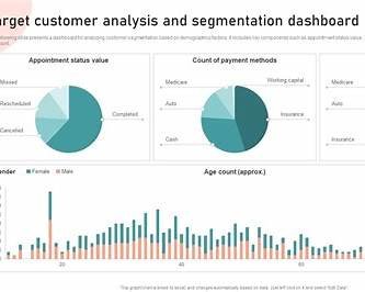 https://www.slideteam.net/media/catalog/product/cache/1280x720/t/a/target_customer_analysis_and_segmentation_dashboard_customer_segmentation_targeting_and_positioning_guide_slide01.jpg